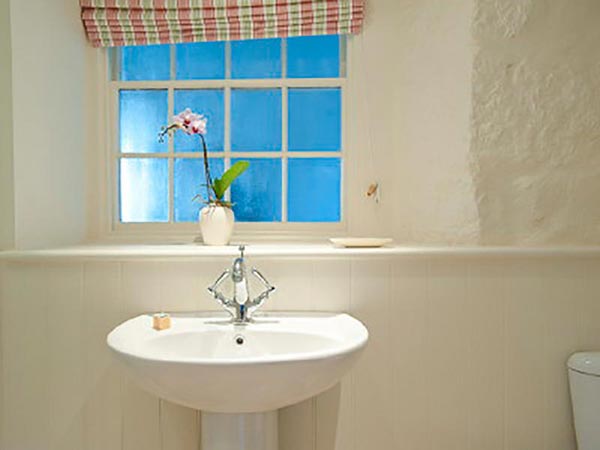 Abbey Stables, Penzance