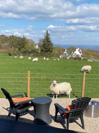 Raven’s Gully Pods