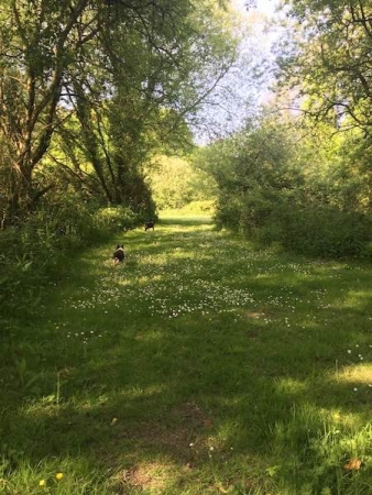 Stable Cottage, near Bude