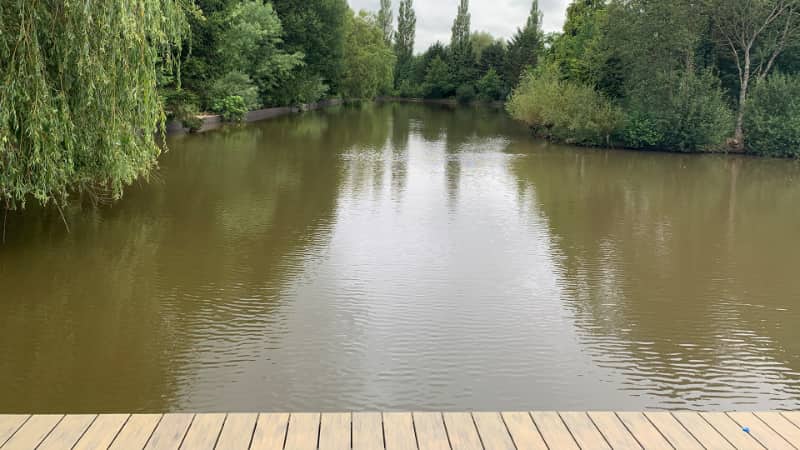 Egret at Woody Park, Cullompton