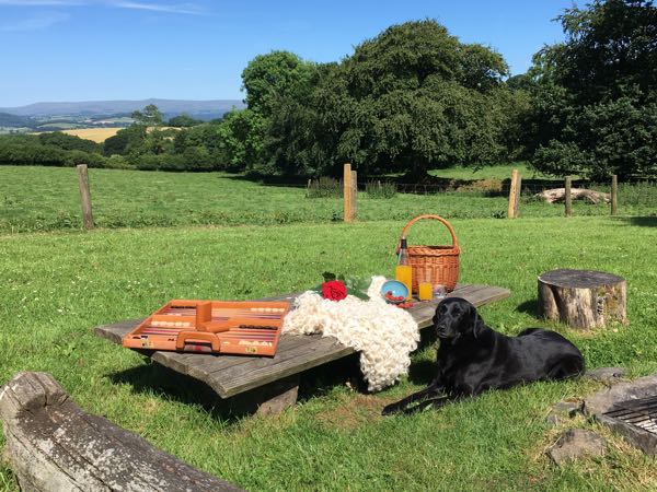 Little Links Yurt, Dartmoor