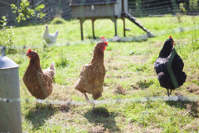 Dovenby Cottage, near Bath