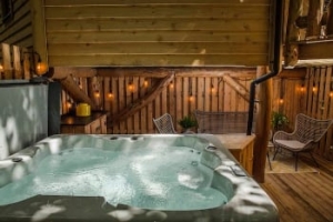 Pet Friendly Devon Romantic Hot Tub Treehouse Retreat | The Den
