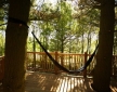 The loft Treehouse at Pickwell Manor