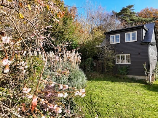 The Nest, Ashdown Forest