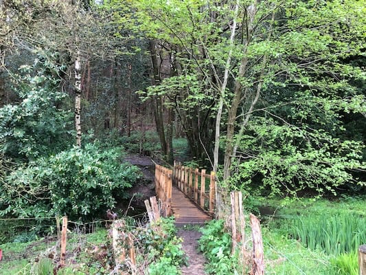 The Nest, Ashdown Forest