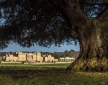 Triumphal Arch, Holkham Hall Estate
