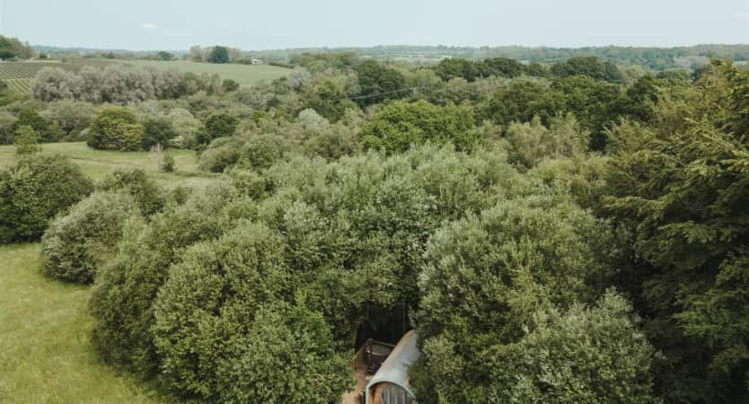 Willow the Wisp, Sussex Kent borders