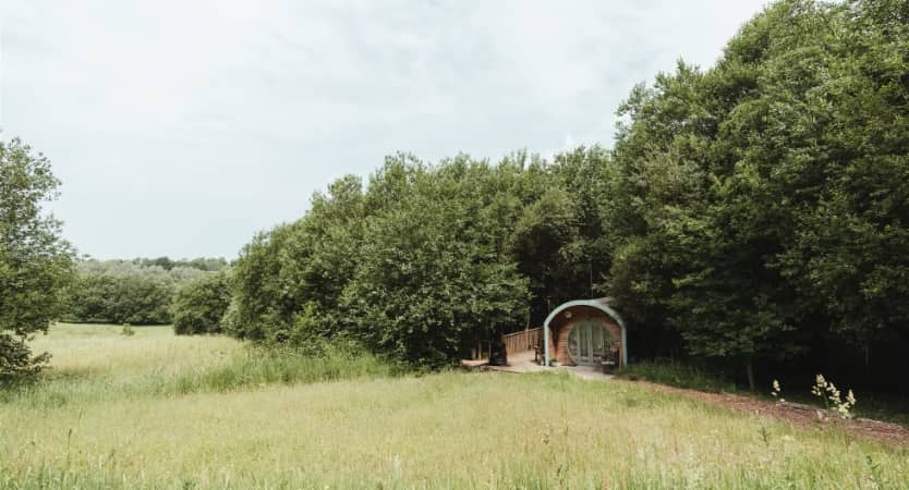 Willow the Wisp, Sussex Kent borders