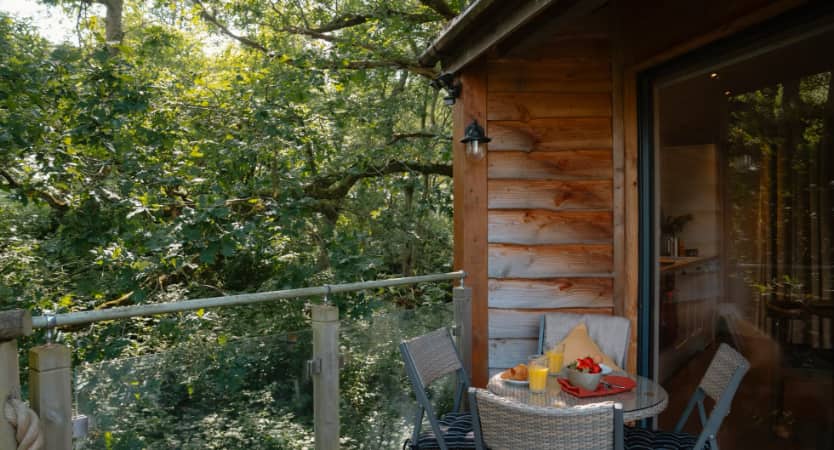 Oakey Koakey Treehouse, Sussex Kent borders