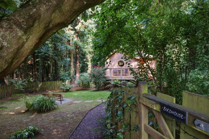 The Birdhouse, Crewkerne