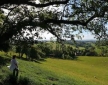 The Shepherd’s Hut, Welsh Borders