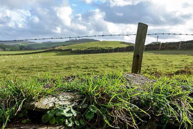 Whirlwind, Whitsand Bay