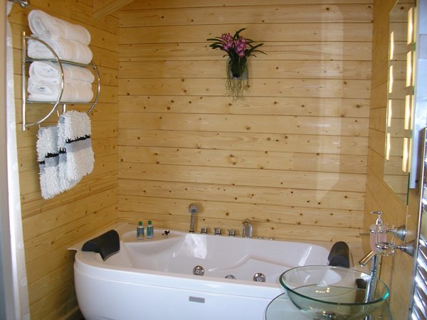 Kingfishers at Woody Park, Cullompton