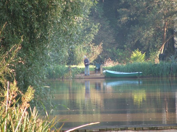 Woodpeckers at Woody Park, Cullompton
