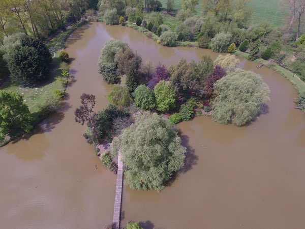 Kingfishers at Woody Park, Cullompton