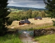Little Seed Field Glamping, Nidderdale