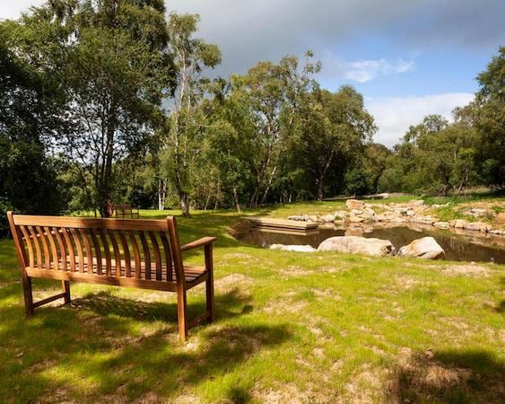 Little Seed Field Glamping, Nidderdale
